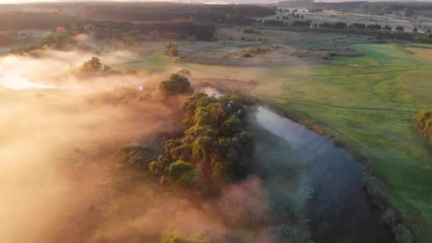 Dron powietrzny widok wschodu słońca nad mglistą rzeką — Wideo stockowe