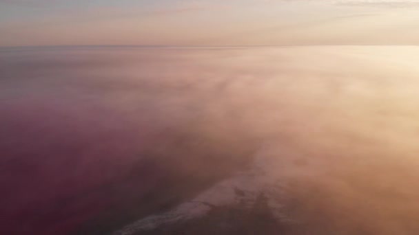 ピンクの水と海岸線と塩鉱物湖への空中ドローンビュー — ストック動画