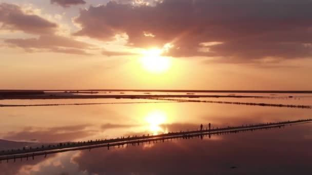 Flygdrönare utsikt över Salt mineral sjö med rosa vatten och kust — Stockvideo