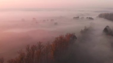 Güneşin sisli nehrin üzerinde doğuşunun hava aracı görüntüsü