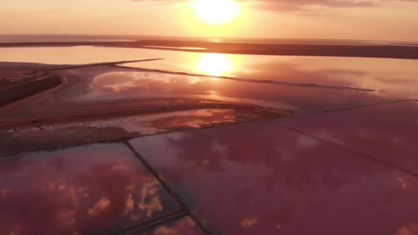 Widok z lotu ptaka na słone jezioro mineralne z różową wodą i wybrzeżem — Wideo stockowe
