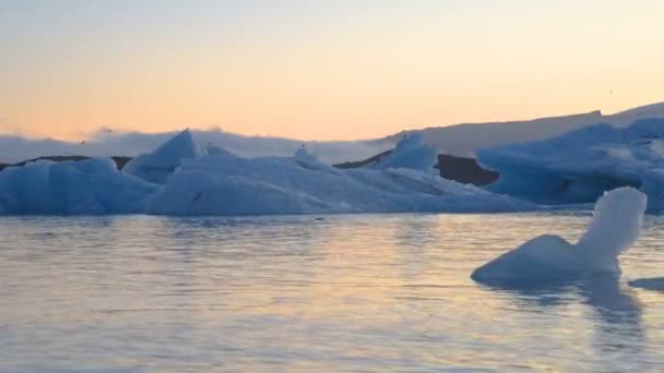 Ledovce a tuleň plovoucí v Ledové laguně Jokulsarlon Ledovcová laguna na Islandu — Stock video