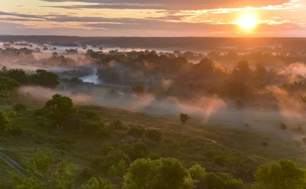 Lever de soleil de prairie avec forêt dans la lumière du soleil et la brume — Photo