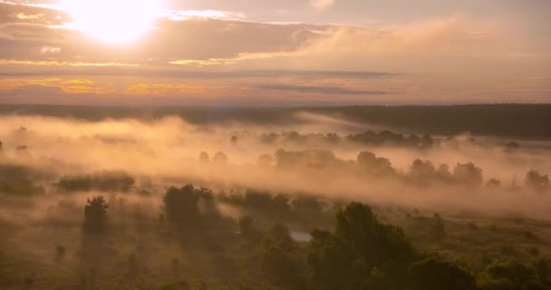 Timelapse wschodu słońca nad zamgloną rzeką — Wideo stockowe