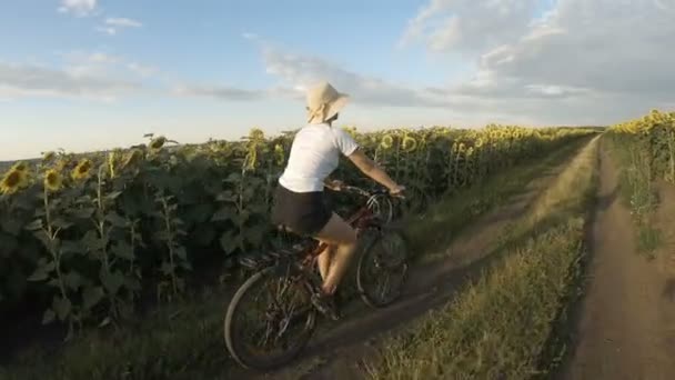 Sportowa dziewczyna jazda na rowerze między polami słonecznika — Wideo stockowe