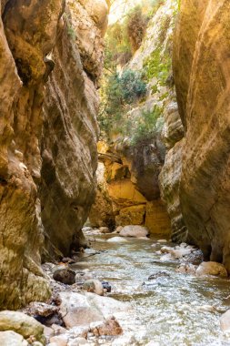 Avakas Kanyonu, Kıbrıs