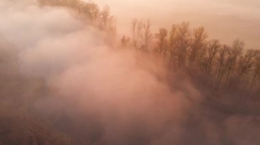 Güneşin sisli nehrin üzerinde doğuşunun hava aracı görüntüsü