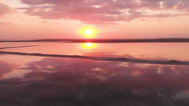 공중 드론으로 분홍빛 물 과해 안 선 이 있는 소금 광천수 호수를 바라본다 — 비디오