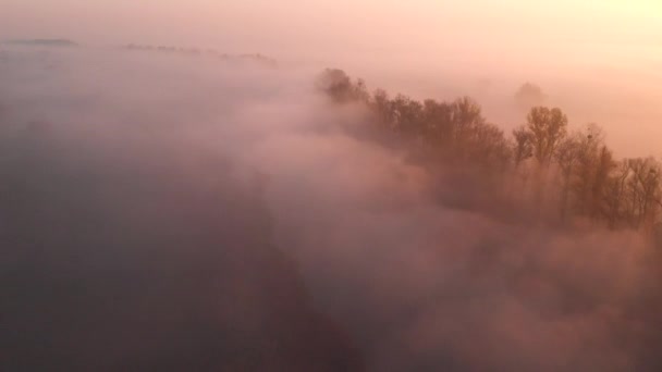Letecký pohled na východ slunce nad zamlženou řekou — Stock video