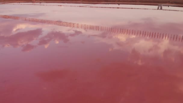 공중 드론으로 분홍빛 물 과해 안 선 이 있는 소금 광천수 호수를 바라본다 — 비디오