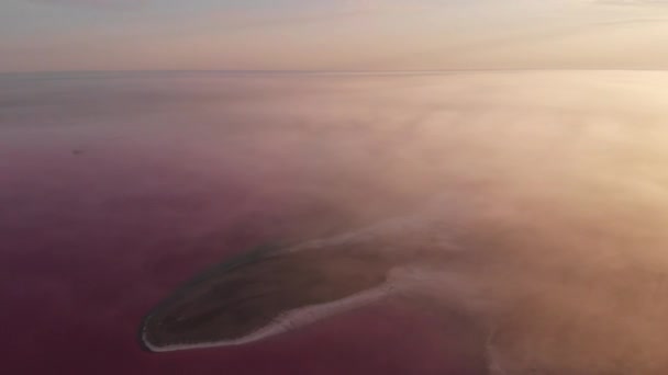 Vue aérienne du drone vers le lac minéral salé avec de l'eau rose et le littoral — Video