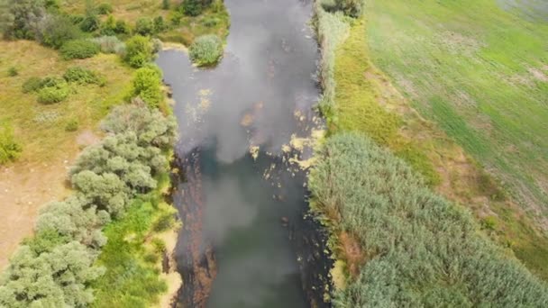 Luchtfoto drone uitzicht op Dvurechansky National Natural Park, Kharkov regio, Oekraïne — Stockvideo