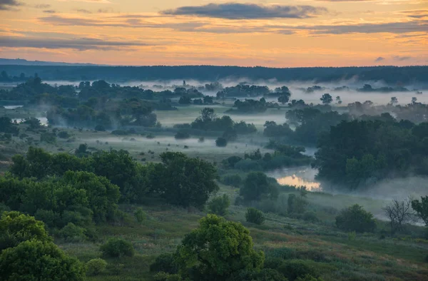 Восход луга с лесом в солнечном свете и тумане — стоковое фото