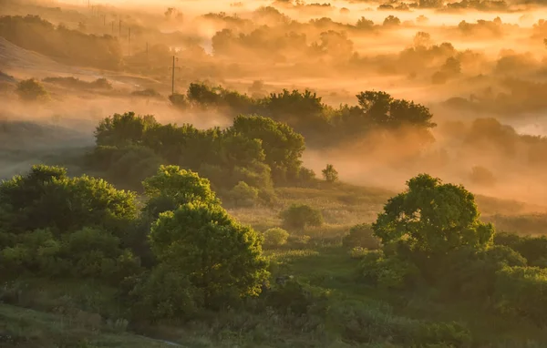 Sonnenaufgang der Wiese mit Wald in Sonnenlicht und Nebel — Stockfoto
