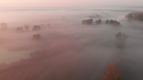 Luchtfoto drone uitzicht op zonsopgang over mistige rivier — Stockvideo