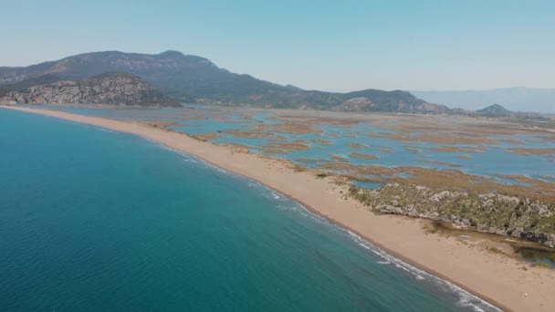 Dalyan deltasının ve Iztuzu sahilinin hava aracı görüntüsü. Hindi. 4K — Stok video