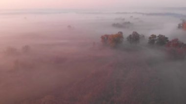 Güneşin sisli nehrin üzerinde doğuşunun hava aracı görüntüsü