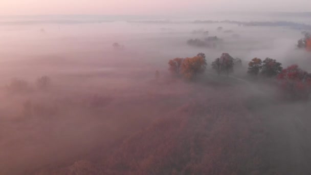 Luchtfoto drone uitzicht op zonsopgang over mistige rivier — Stockvideo