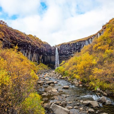 Svartifoss, ünlü Kara Şelale, İzlanda Skaftafel Milli Parkı