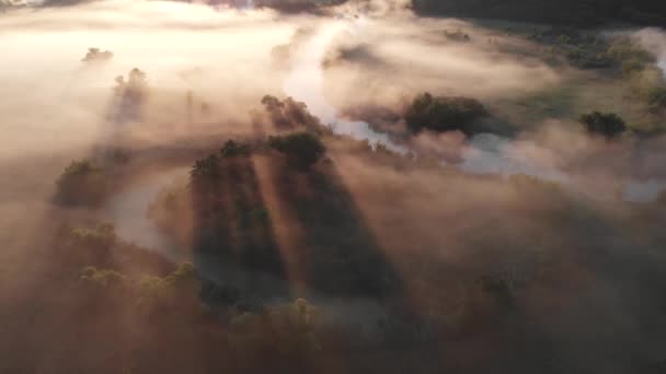 Luchtfoto drone uitzicht op zonsopgang over mistige rivier — Stockvideo