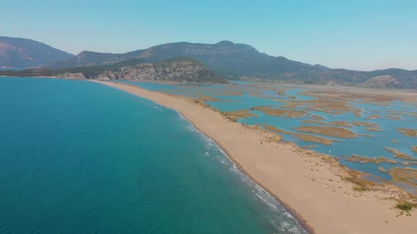 Dalyan deltasının ve Iztuzu sahilinin hava aracı görüntüsü. Hindi. 4K — Stok video