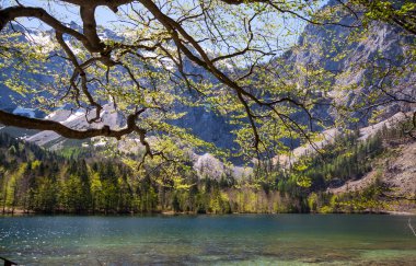 Avusturya güzel göl
