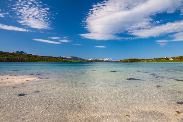 Lofoten, Cennet plaj — Stok fotoğraf