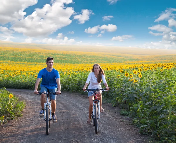 Genç çift binicilik bisiklet ayçiçeği alanı