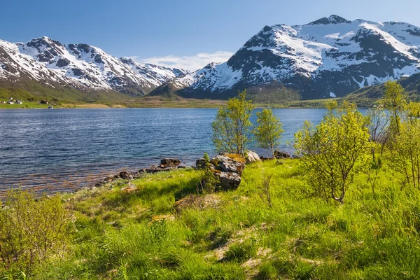 Montanha lago, Lofoten Islands, Noruega — Fotografia de Stock