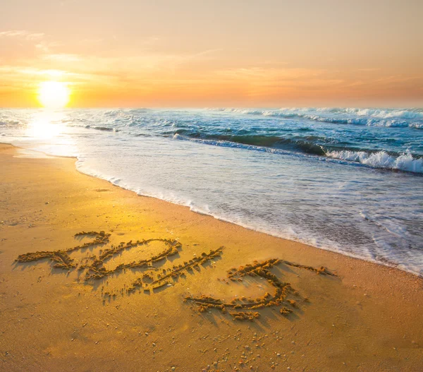 Yeni yıl 2015 basamak