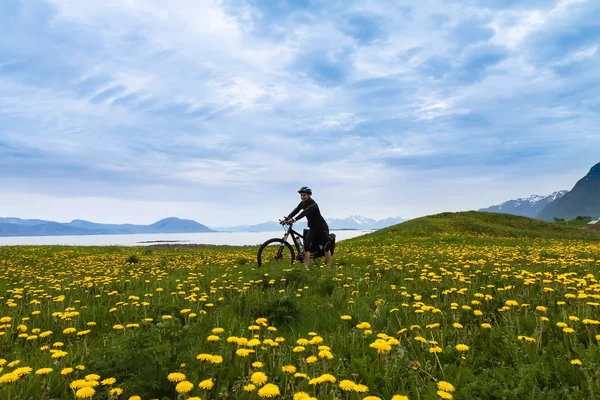 Horské kolo cyklista, Norsko — Stock fotografie