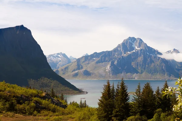 Schilderachtige fjord aan Lofoten eilanden met typische visserij hut — Stockfoto