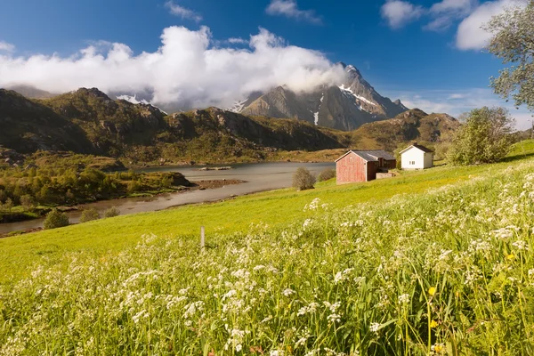 Doğal fiyort tipik Balık tutma kulübe ile Lofoten Adaları — Stok fotoğraf