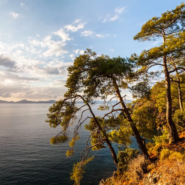 Playa en el mar Mediterráneo. Fethiye, Turquía — Foto de Stock