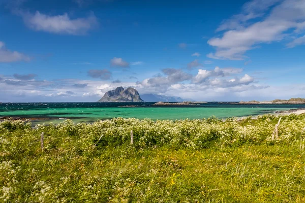 Malebné pláže na ostrovech Lofoty — Stock fotografie