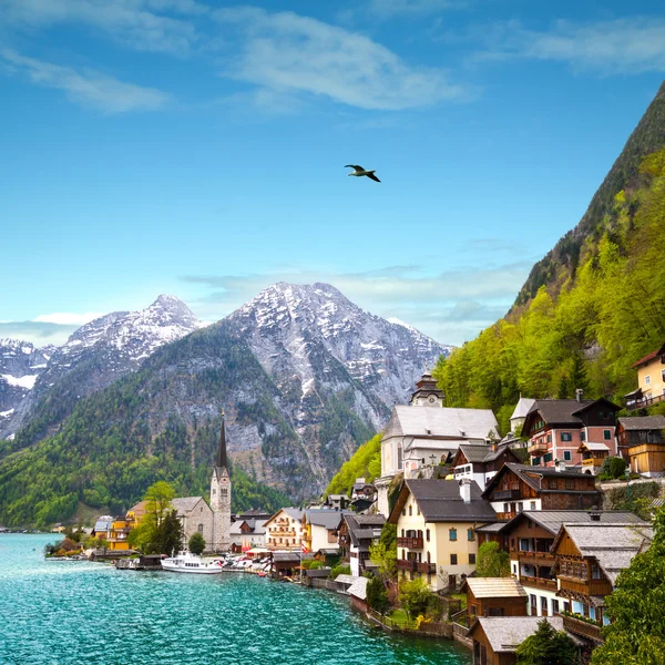 güzel yaz Alp hallstatt şehir