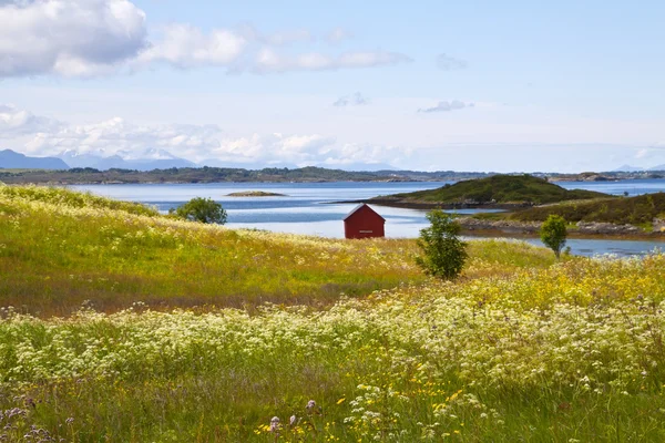 Landsbygdens landskap i Norge — Stockfoto