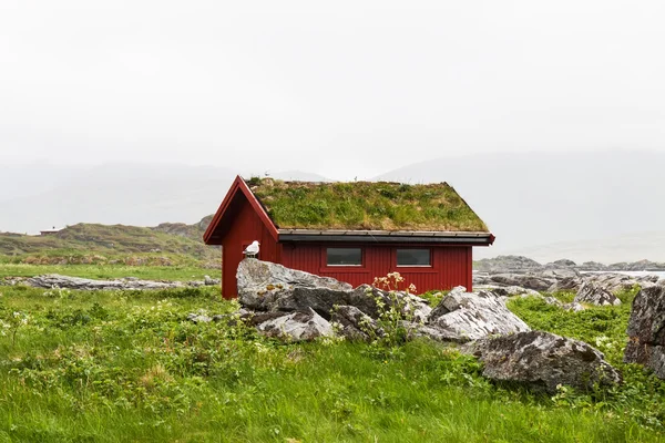 Typické červené rorbu rybářská chata v obci, Lofoty — Stock fotografie