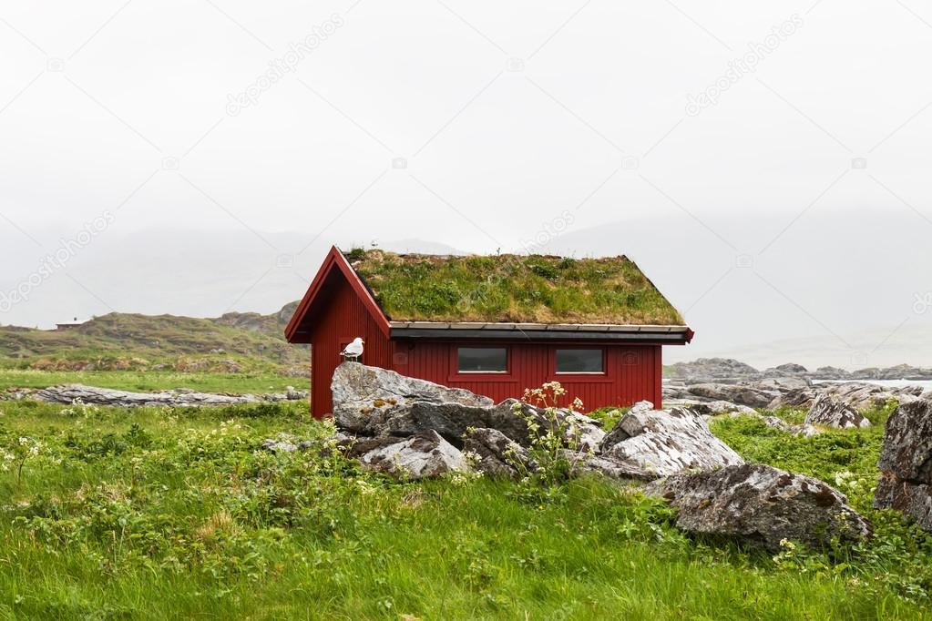 Typical red rorbu fishing hut in village , Lofoten