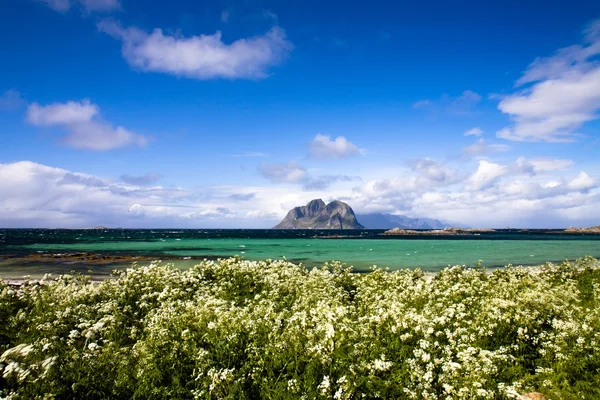 Сценический пляж на Лофотенских островах — стоковое фото