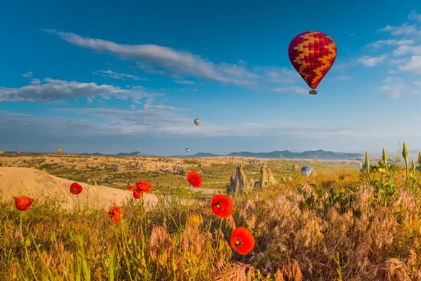 Sıcak hava balon Kapadokya, Türkiye'de haşhaş alanın üzerinde