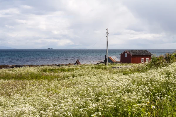 Vaeroy, wyspa Lofotach, Norwegia — Zdjęcie stockowe