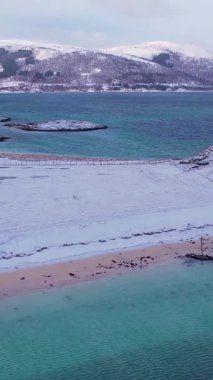 Norveç, Troms 'daki Sommaroy adalarının kışın nefes kesici güzelliğini tecrübe edin. Sakin plajları, buzlu suları, karlı dağları ve balıkçı köyünü keşfedin..
