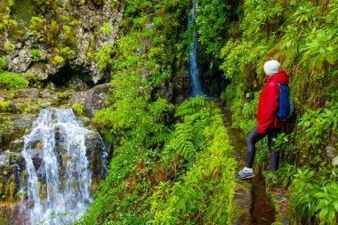 Gezginler Madeira 'daki güzel levada patikalarını keşfeder, büyüleyici bir şelalenin nefes kesici manzarasını tecrübe ederek, canlı eğrelti otları ve doğal güzelliklerle çevrili
