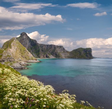 lofoten Adalar manzaralı beach