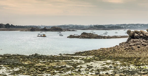 Strandlinjen vid lågvatten, Bretagne, Frankrike — Stockfoto