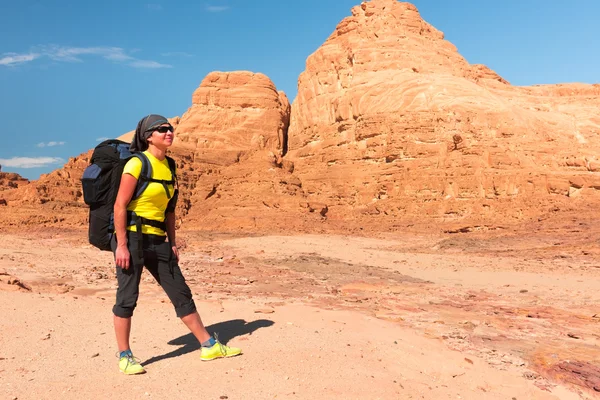 Donna escursionista con zaino godere della vista nel deserto — Foto Stock