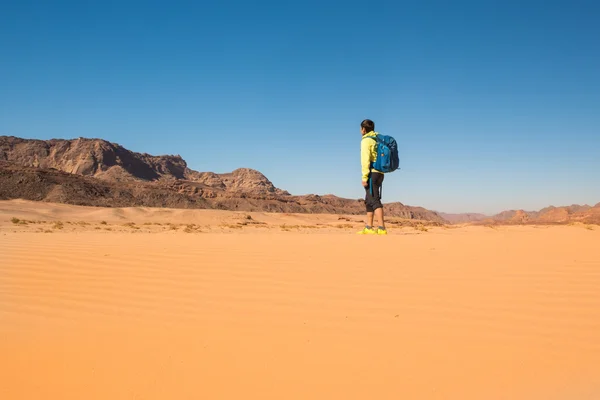 Mujer excursionista con mochila disfrutar de la vista en el desierto —  Fotos de Stock