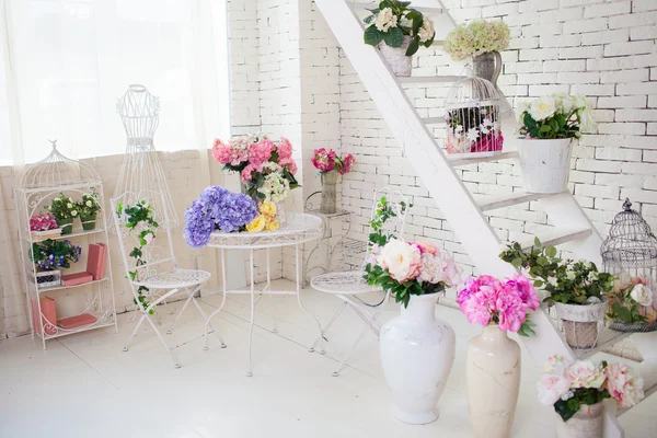 Květiny v interiéru — Stock fotografie