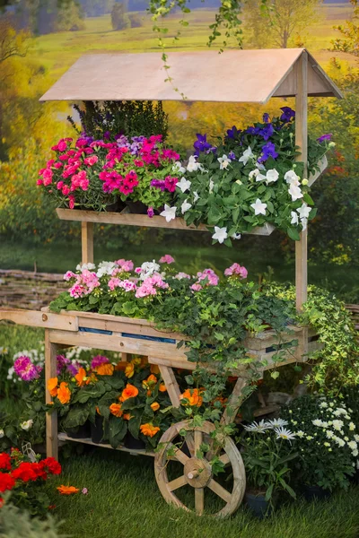 Arranjo de flores no estilo de Provence . — Fotografia de Stock